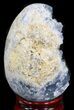 Crystal Filled Celestine (Celestite) Egg - Madagascar #41688-2